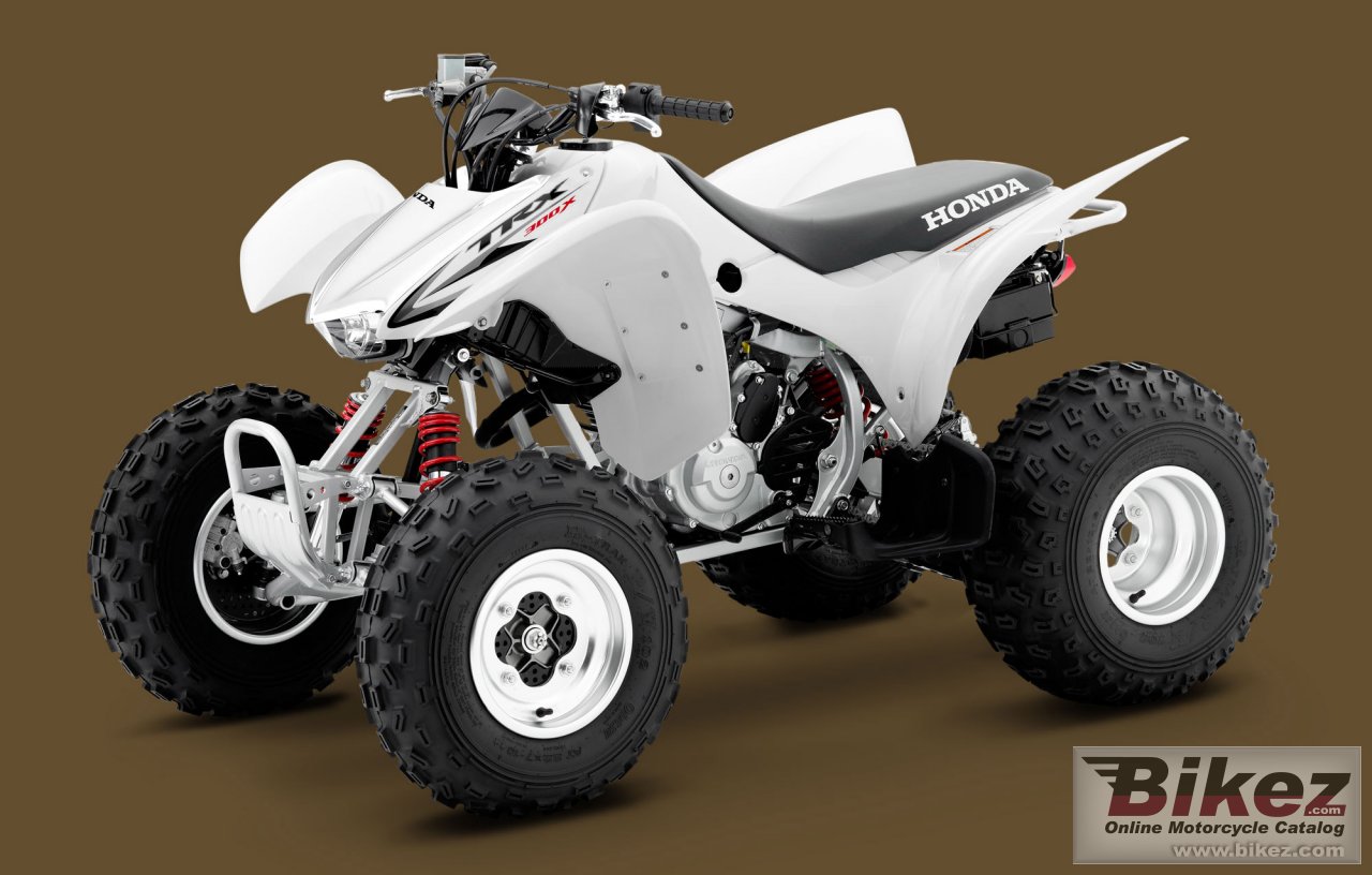 Big Honda trx300x picture and wallpaper from Bikez.com
